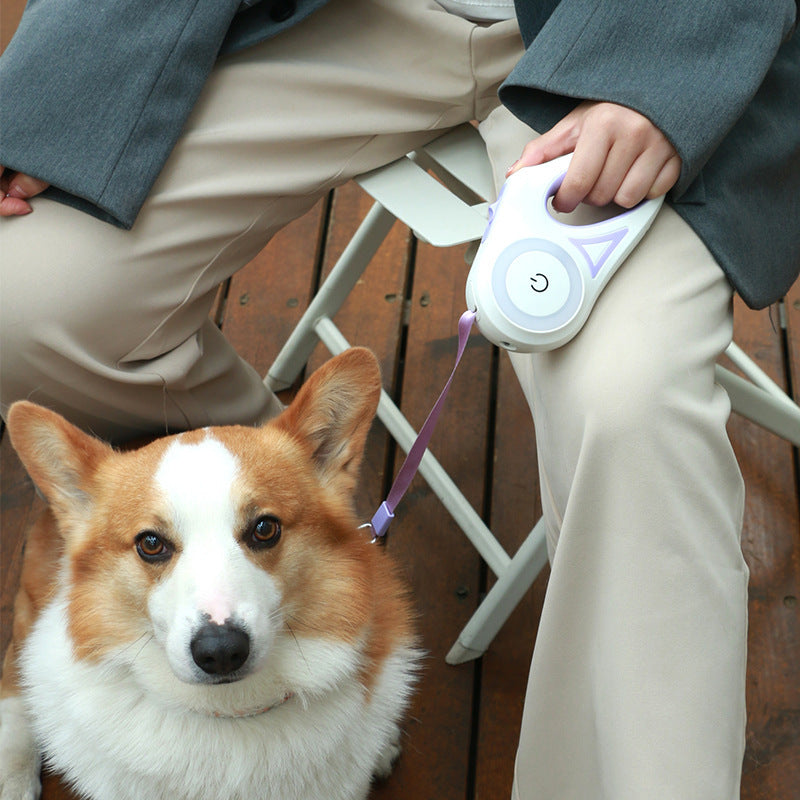 Retractable Dog Leash with Collar & LED Spotlight – For Small & Medium Pets
